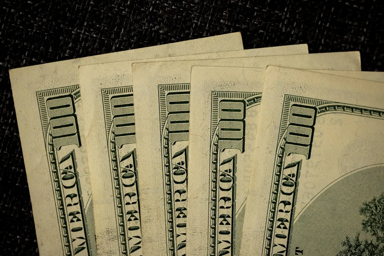 dollars, money, savings, cash, account, finance, wealth, banknote, salary. 5 notes on career earnings earnings worth reading