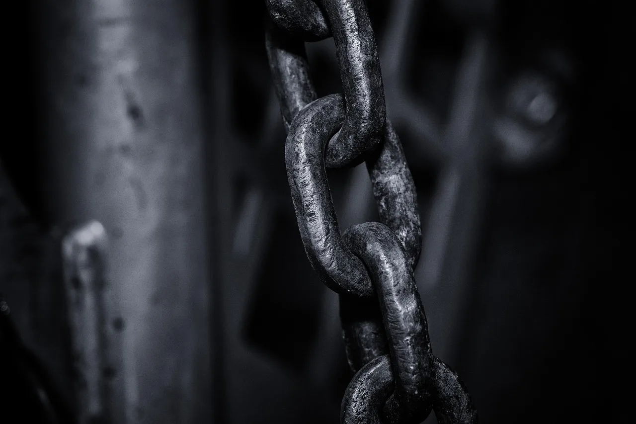 iron, iron chain, connection, chain, limbs, chain link, close up, black and white recording, chain, chain, chain, chain, chain, chain link, chain link. Creator net worth methodology: the links you can actually check
